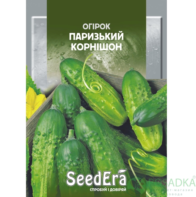 картинка Семена Огурец Парижский корнишон, 10 г, SeedEra 
