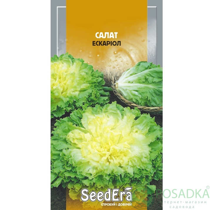 картинка Семена Салат цикорный Эскариол 1 г, Seedеra 