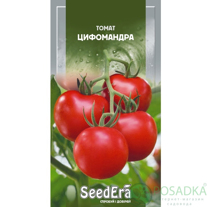 картинка Семена Томат Цифомандра 0,1 г, Seedera 