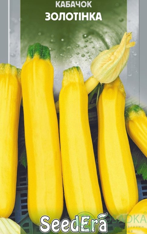 картинка Семена кабачок Золотинка 3 г, SeedEra 