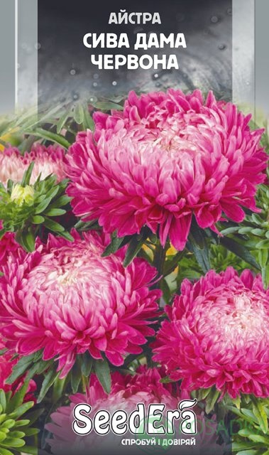 картинка Астра Пионовидна Седая Дама красная семена 0.25 г, SeedEra 
