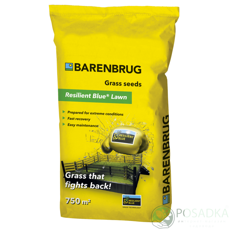картинка Газонная трава Resilient Blue 15 кг Barenbrug 