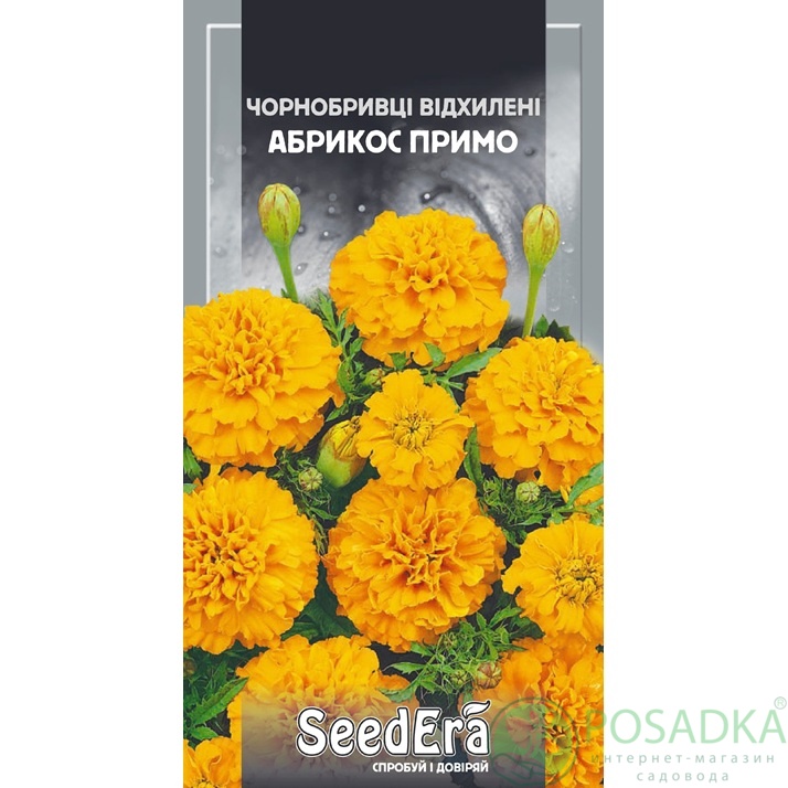 картинка Семена Бархатцы отклонены Абрикос Примо 0,5 г, Seedera  картинка Семена Бархатцы отклонены Абрикос Примо 0,5 г, Seedera