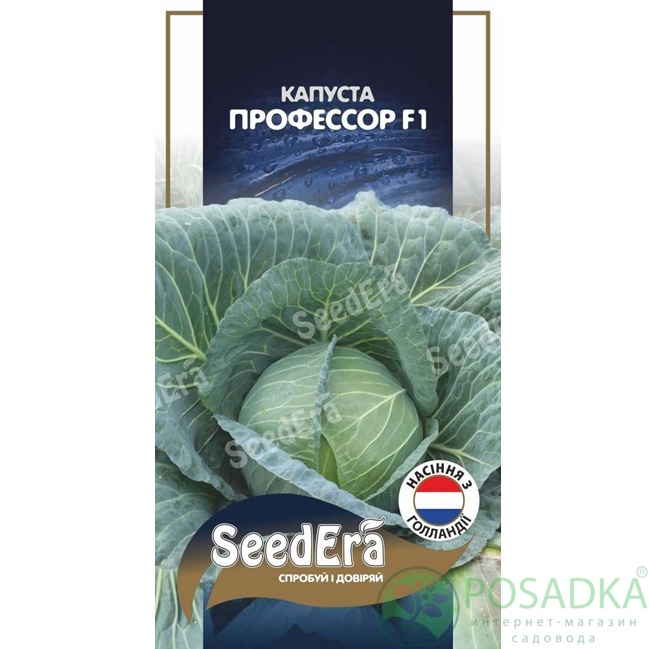 картинка Семена Капуста Професор F1 20 шт, Seedera Profi 