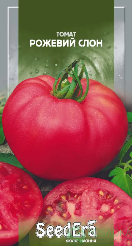 картинка Семена Томат Розовый Слон 0,1 г, Seedera 