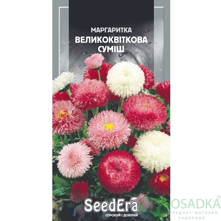 картинка Семена маргаритка Крупноцветковая Смесь 0,1г, SeedEra 