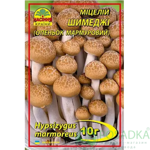 картинка Мицелий зерновой гриб Шимеджи 