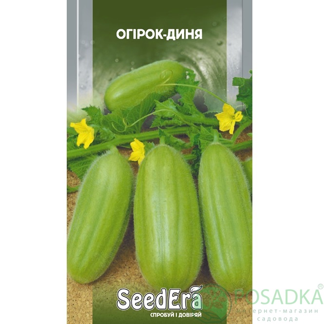картинка Семена Огурец-дыня (Огурдыня) 10 шт, Seedera 