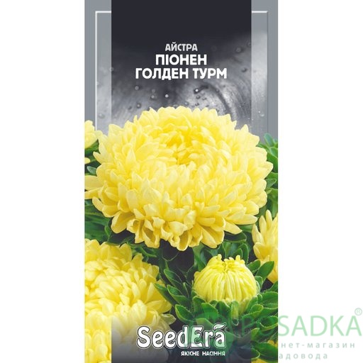 картинка Семена Астра высокорослая Пионен Голден Турм 0,25 г, Seedera 