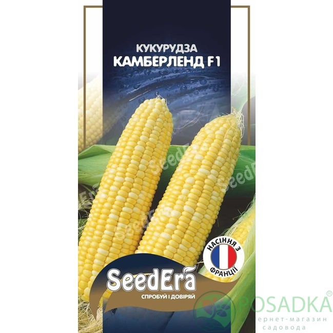 картинка Семена Кукуруза сахарная Камберленд F1 20 шт, Seedera Profi картинка Семена Кукуруза сахарная Камберленд F1 20 шт, Seedera Profi