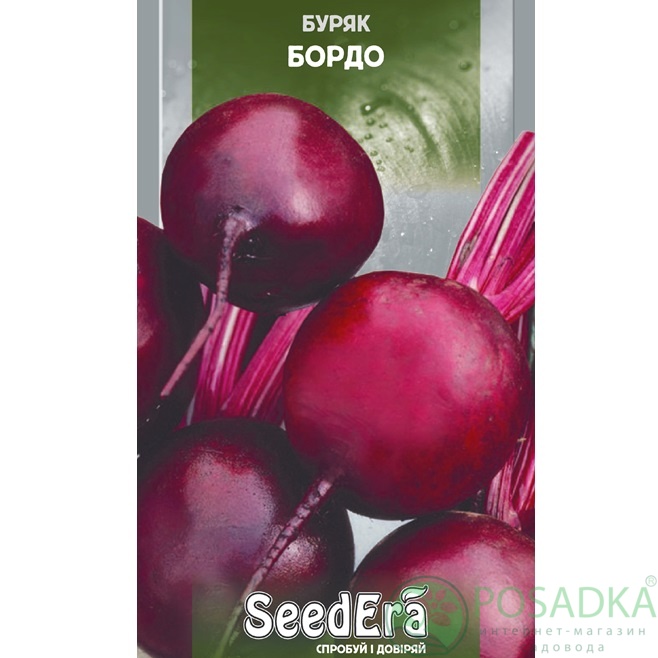 картинка Семена Свекла столовая Бордо 20 г, SeedEra 