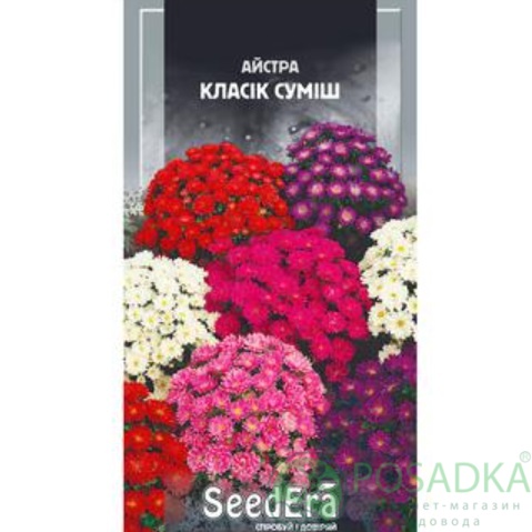 картинка Семена Астра низкорослая классик смесь 0,25 г, Seedera 