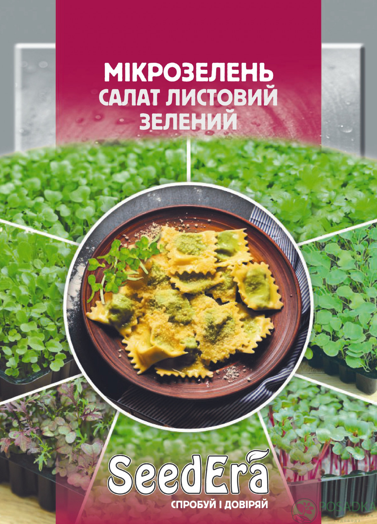 картинка Семена микрозелень Салат листовой зеленый 10 г, Seedera 