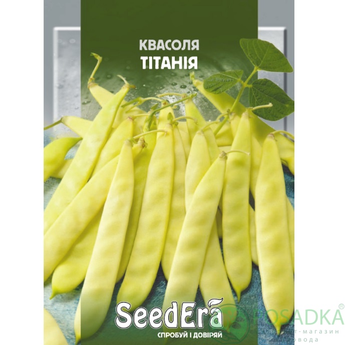 картинка Семена Фасоль Спаржевая Кустовая Титаня, 10 г, Seedera 