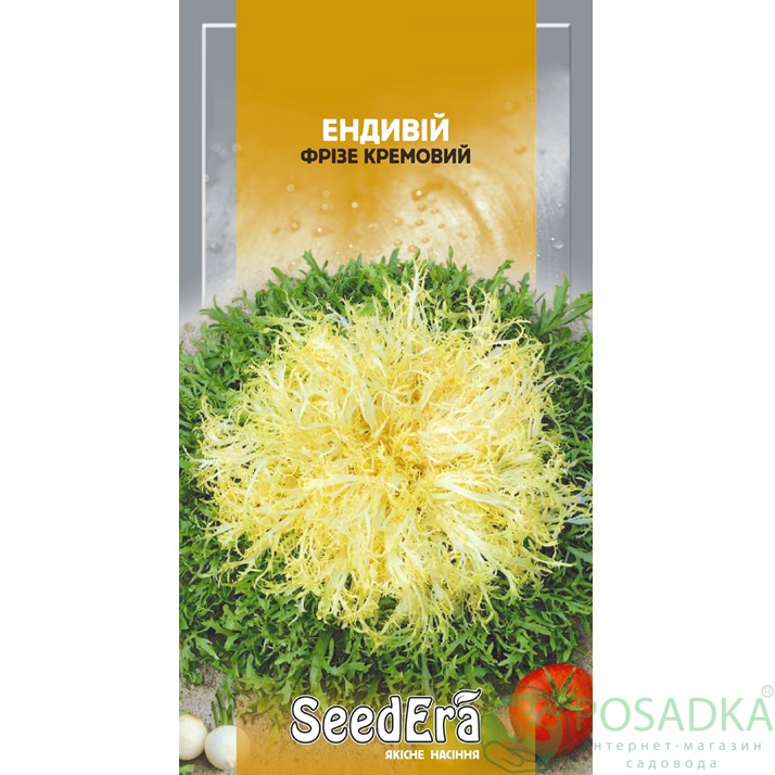 картинка Семена Салат Эндивий Фризе Кремовый 1 г, Seedera 