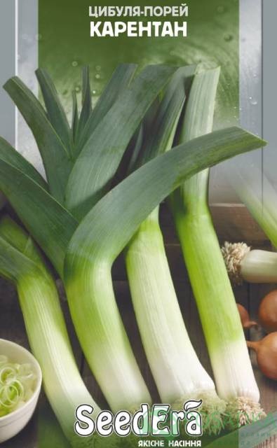 картинка Семена Лук-порей Карентан, 1гр, SeedEra 