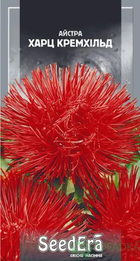 картинка Астра высокорослая Харц Кремхилд, семена, 0.25 г, Seedera 