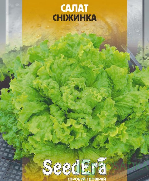 картинка Семена салат Снежинка (листовой), 1 гр, SeedEra 