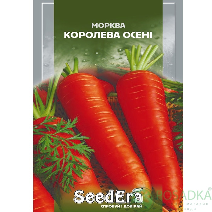 картинка Семена Морковь Королева Осени 20 г, SeedEra картинка Семена Морковь Королева Осени 20 г, SeedEra