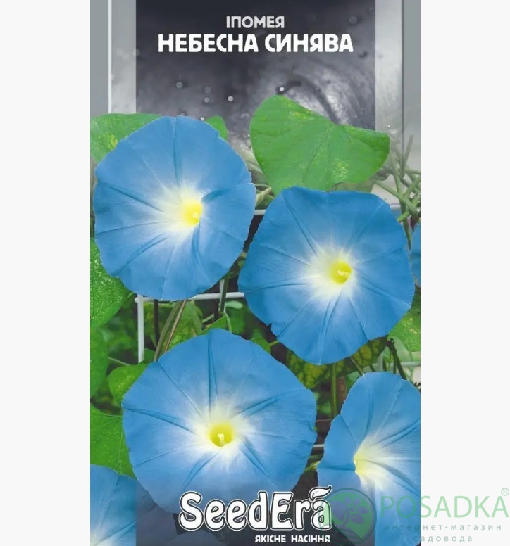 картинка Семена Ипомея небесная синева 0,5 г, Seedera картинка Семена Ипомея небесная синева 0,5 г, Seedera