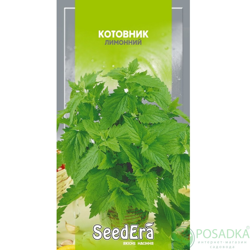 картинка Семена Котовник Лимонный 0,1г, Seedera 