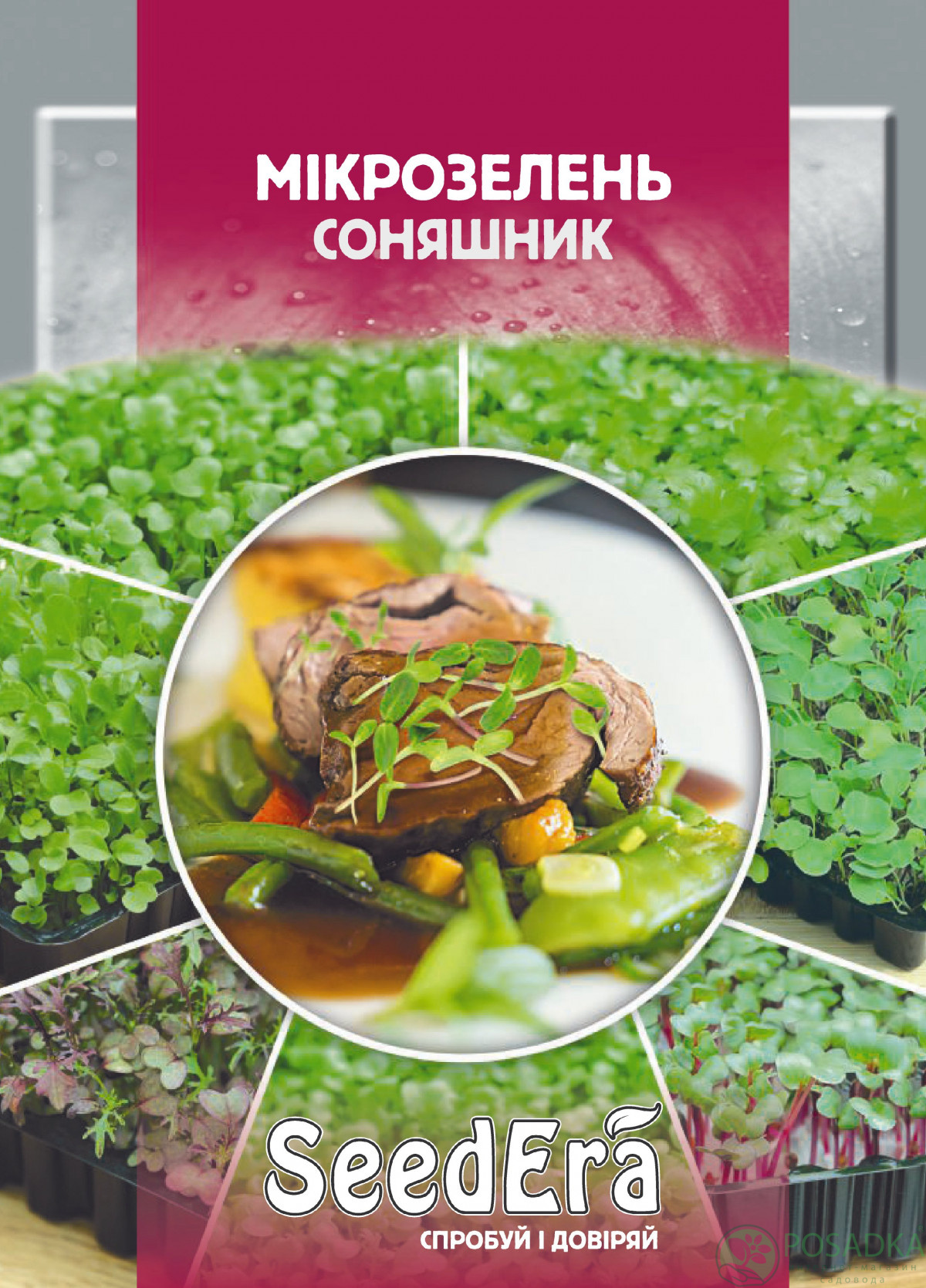 картинка Семена Микрозелень Подсолнух 10гр, SeedEra картинка Семена Микрозелень Подсолнух 10гр, SeedEra