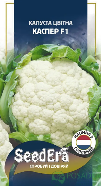 картинка Семена Капуста цветная Каспер F1, 10 шт, Seedera Profi 