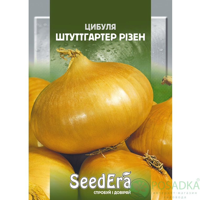 картинка Семена лук Штуттгартер Ризен 10 г, SeedEra 