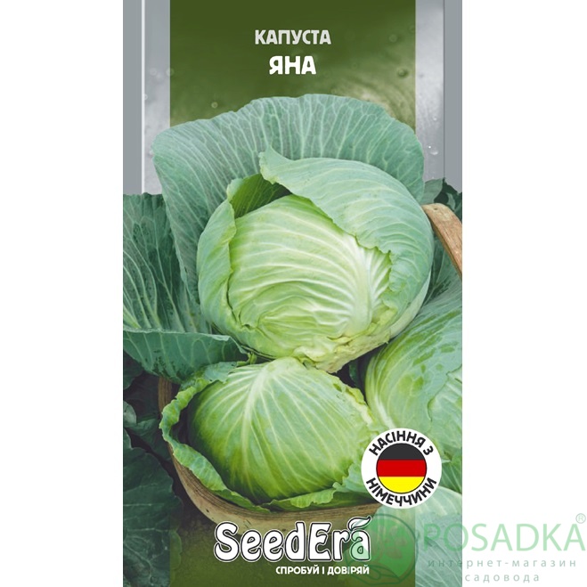 картинка Семена Капуста Белоголовая Яна 1 г, Seedera 