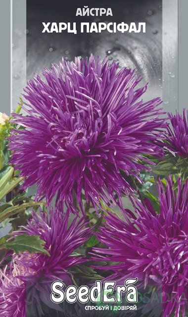картинка Астра Высокорослая  Харц Парсифаль семена 0.25 г, SeedEra 