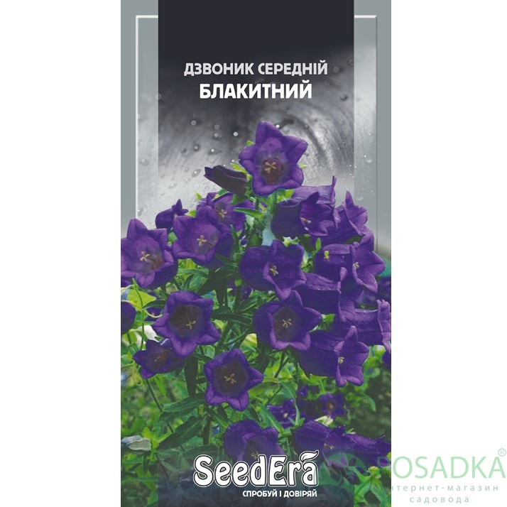 картинка Семена Колокольчик средний голубой двухлетний, 0.2 г, Seedera 