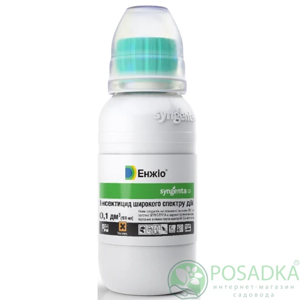картинка Инсектицид Энжио 100 мл, Syngenta 