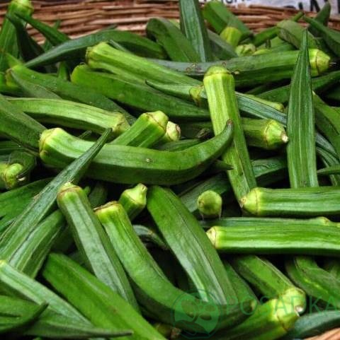 картинка Бамия Сопилка семена (1гр) 