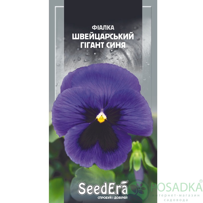 картинка Семена Фиалка Садовая Двулетняя Швейцарский Гигант Синий 0,1г, Seedera 