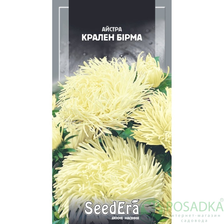 картинка Семена Seedera астра высокорослая Крален Бирма 0,25 г Seedera 