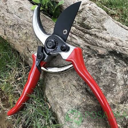 картинка Секатор садовый Pruning Shears 210 мм 