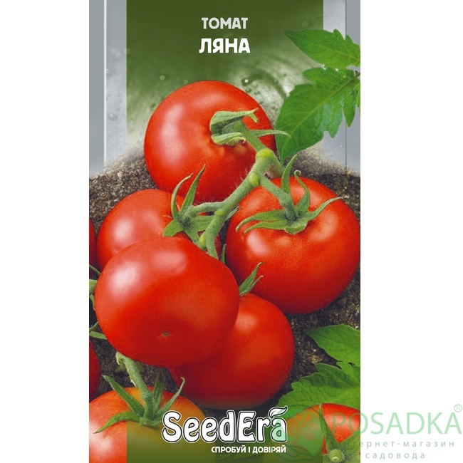 картинка Семена Томат Ляна 3 г, SeedEra 