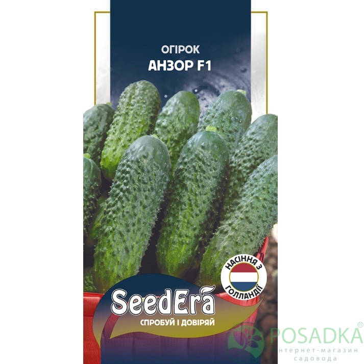 картинка Семена Огурец Анзор F1, 10 шт, Seedera Profi 