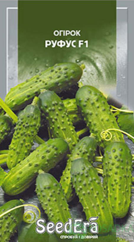 картинка Семена Огурец Руфус F1 1г, SeedEra 