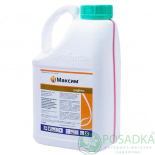 картинка Протравитель Максим 025 FS т.к.с. 5л Syngenta 