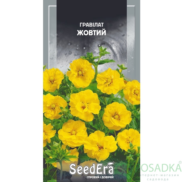 картинка Семена Гравилат желтый многолетний 0.2 г, Seedera 
