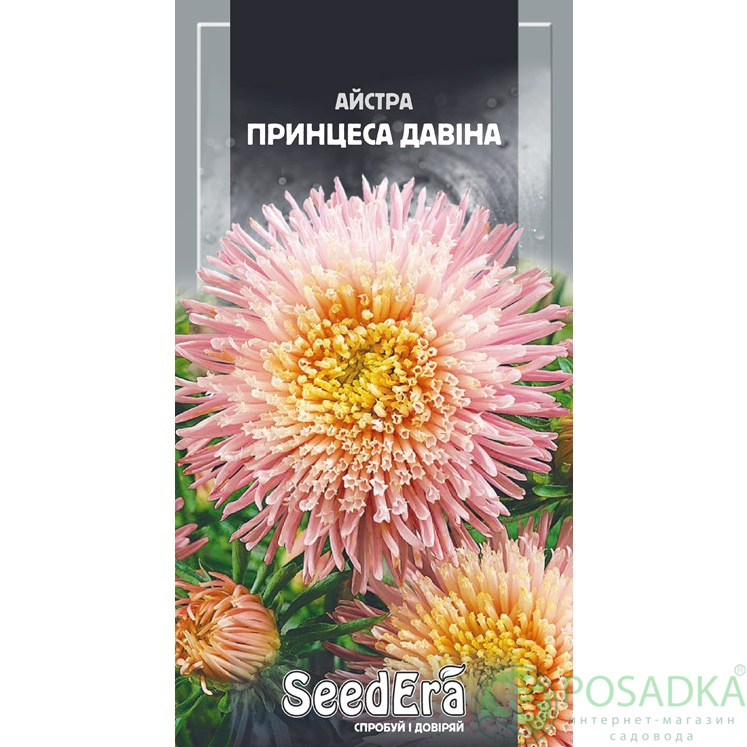 картинка Семена астра Высокорослая Принцесса Давина 0,25г, SeedEra 