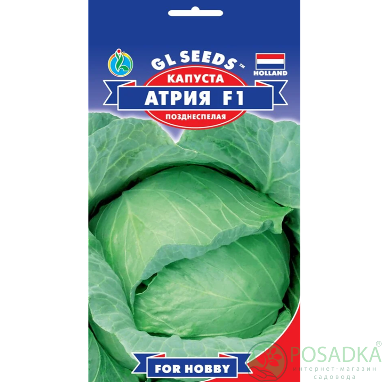 картинка Семена Капусты Атрия F1 Голландия 50шт, TM GL Seeds картинка Семена Капусты Атрия F1 Голландия 50шт, TM GL Seeds