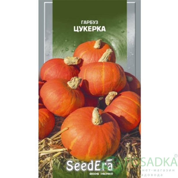 картинка Семена Тыква Конфетка 3 г, Seedera 