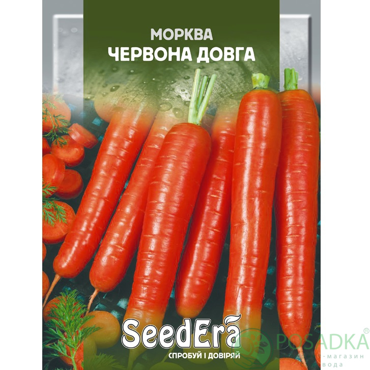 картинка Семена Морковь столовая Красная длинная 20 г, SeedEra 