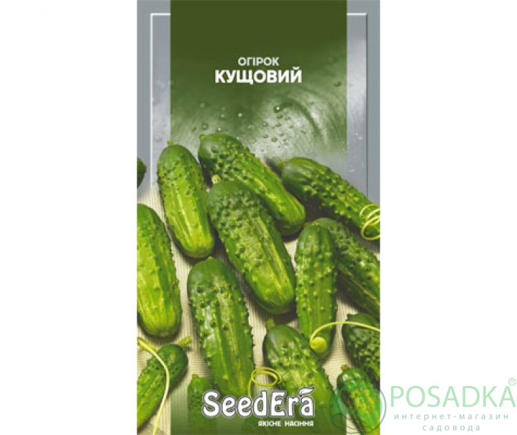 картинка Семена Огурец Корнишон кустовой 1гр SeedEra картинка Семена Огурец Корнишон кустовой 1гр SeedEra