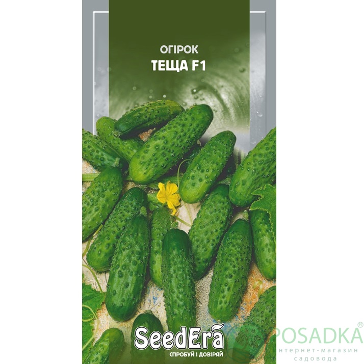 картинка Семена Огурец Теща F1, 10шт, Seedera 
