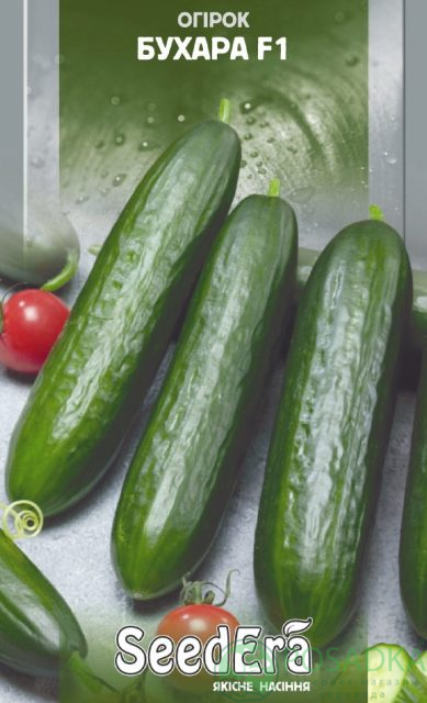 картинка Семена Огурец Бухара F1 семена 10шт, SeedEra 