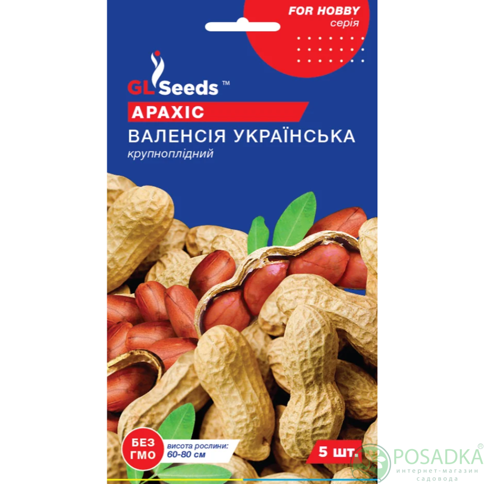 картинка Семена Арахиса Валенсия украинская 5шт TM GL Seeds 