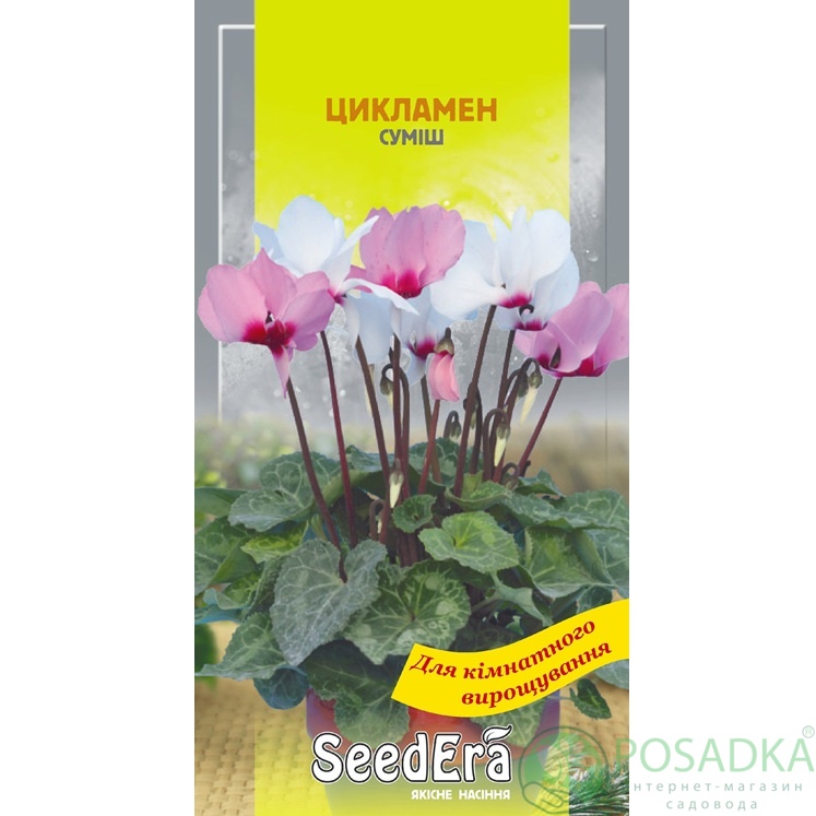 картинка Семена Цикламен персидский смесь многолетний 5шт, Seedera 